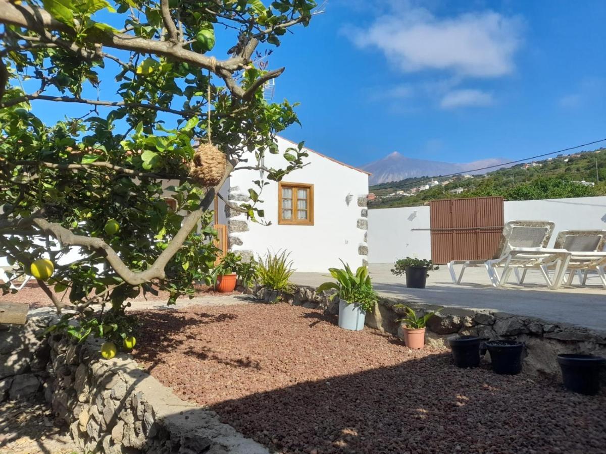 La Casa Del Bisa Villa Genovés Dış mekan fotoğraf