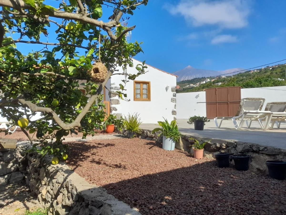 La Casa Del Bisa Villa Genovés Dış mekan fotoğraf